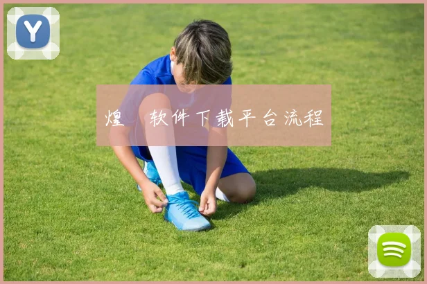 煌璱软件下载平台流程