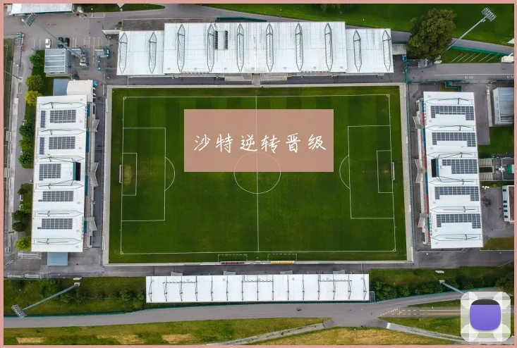沙特逆转晋级