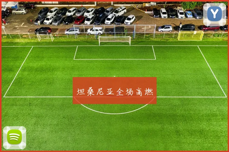 坦桑尼亚全场高燃