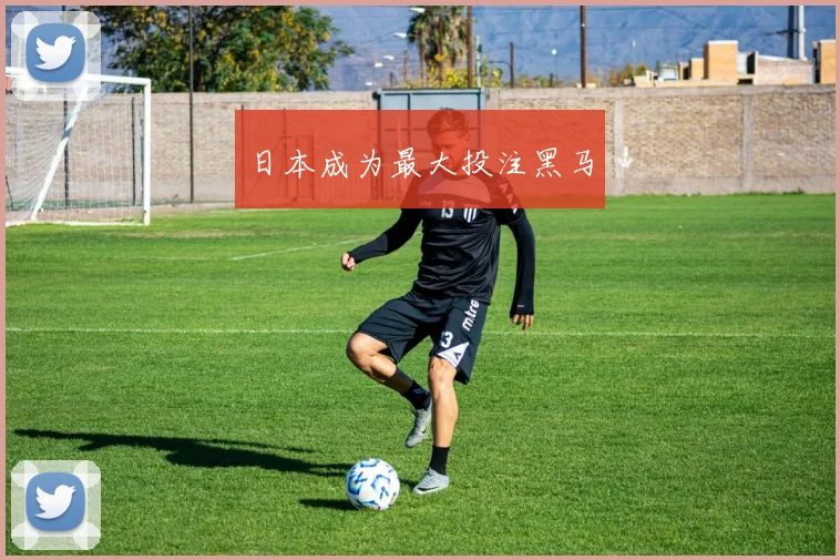日本成为最大投注黑马