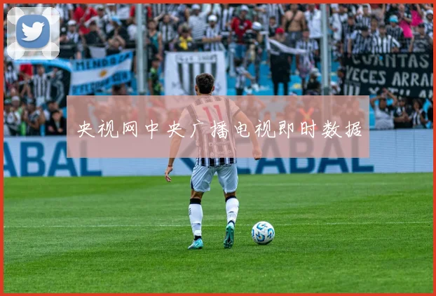 央视网中央广播电视即时数据