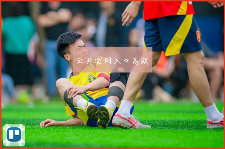 云开官网入口高效