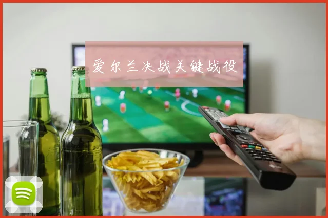 爱尔兰决战关键战役