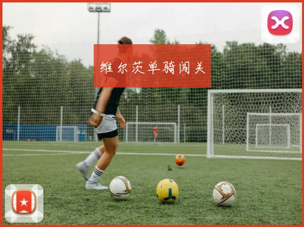 维尔茨单骑闯关