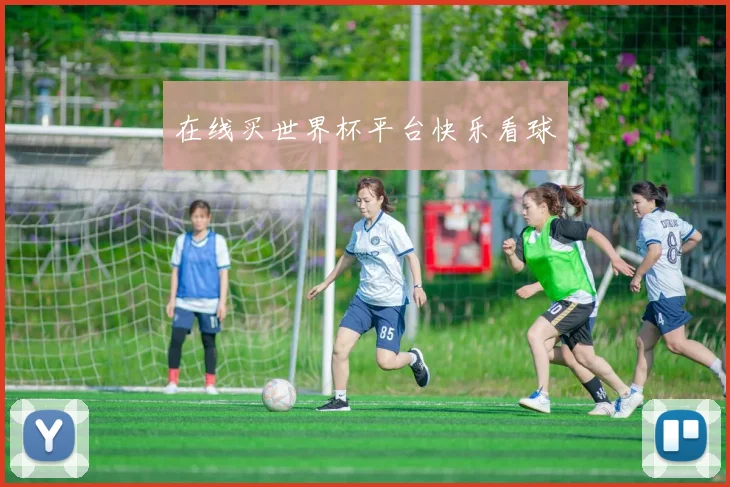 在线买世界杯平台快乐看球