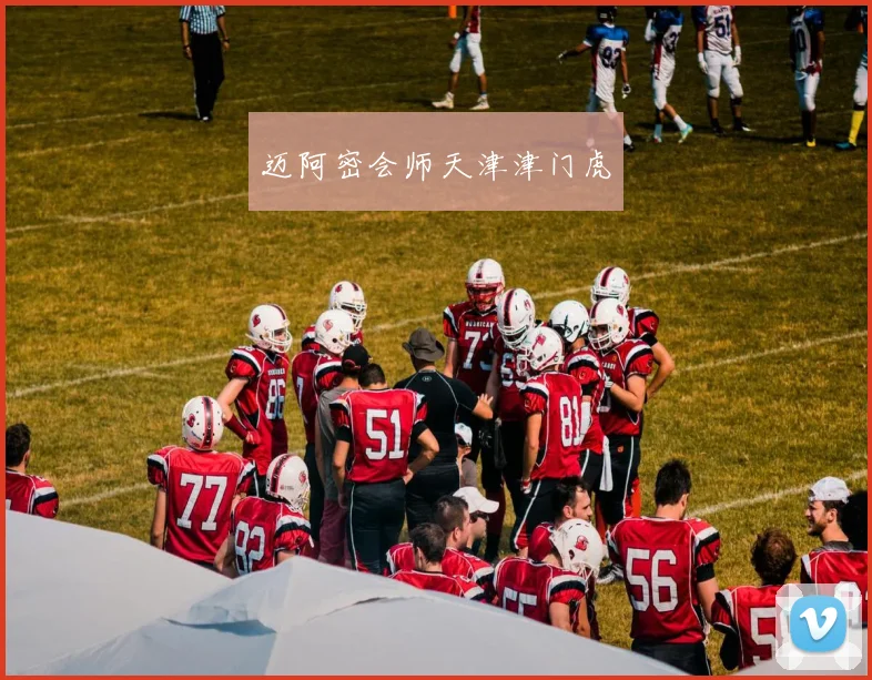 迈阿密会师天津津门虎