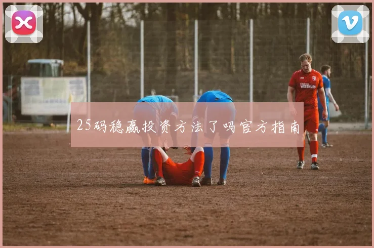 25码稳赢投资方法了吗官方指南
