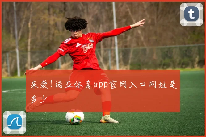 来袭!诺亚体育app官网入口网址是多少