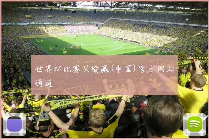 世界杯比赛买输赢(中国)官方网站通道