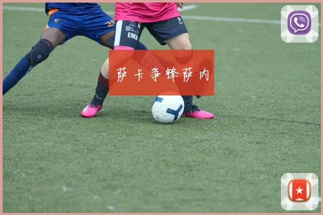 萨卡争锋萨内