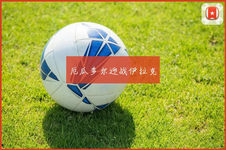 厄瓜多尔迎战伊拉克