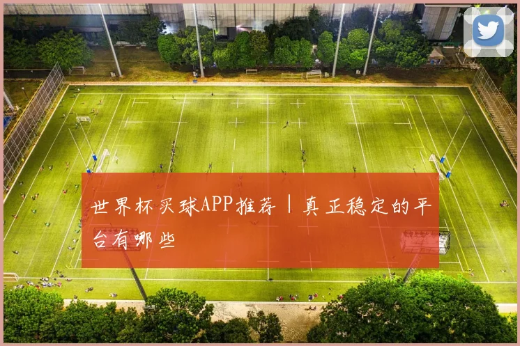 世界杯买球APP推荐｜真正稳定的平台有哪些