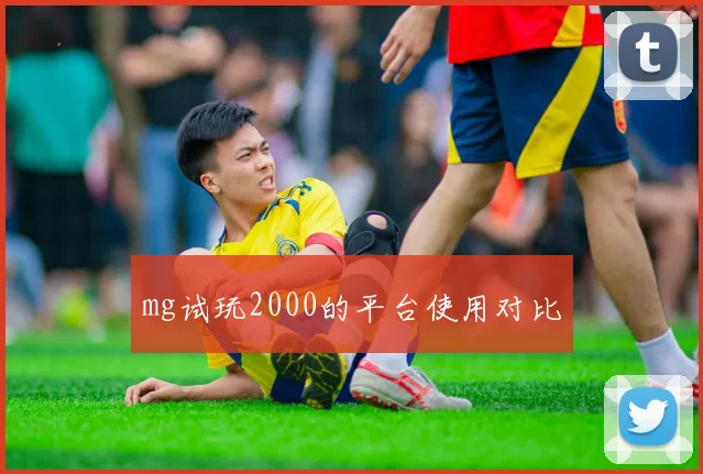 mg试玩2000的平台使用对比