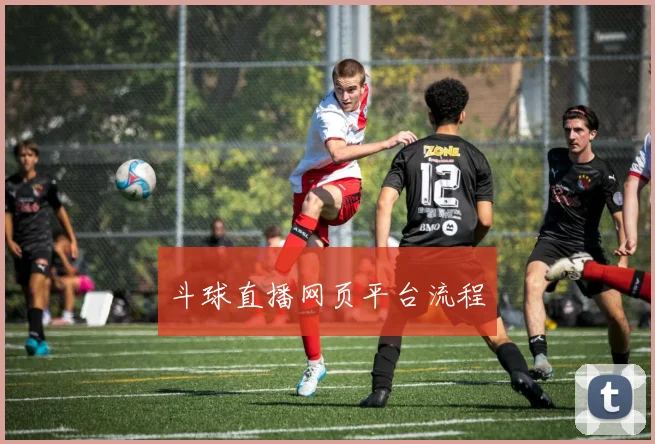 斗球直播网页平台流程