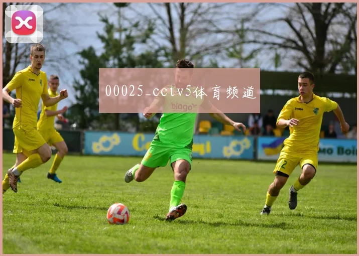 00025_cctv5体育频道