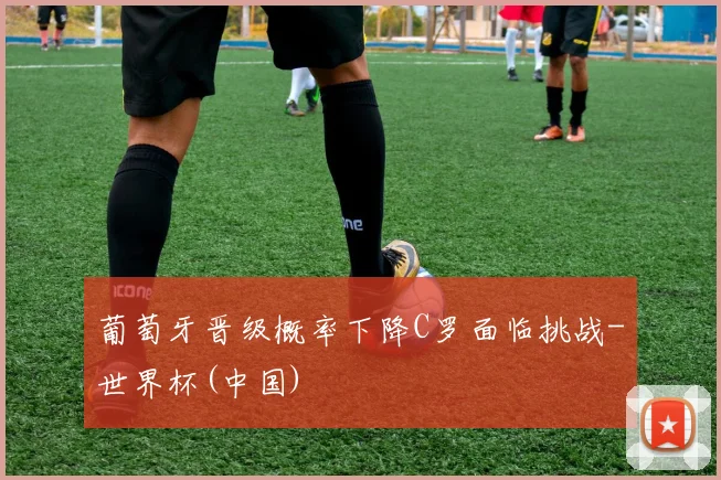 葡萄牙晋级概率下降C罗面临挑战-世界杯(中国)