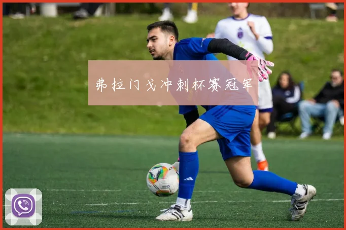 弗拉门戈冲刺杯赛冠军