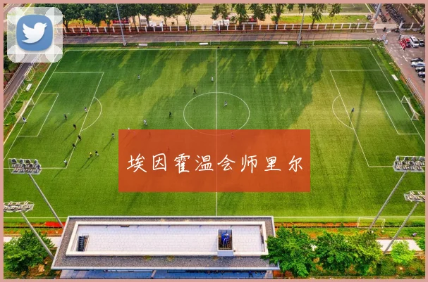 埃因霍温会师里尔