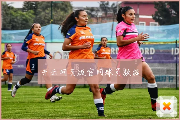 开云网页版官网球员数据