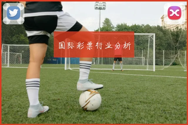 国际彩票行业分析