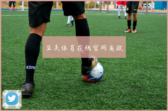 亚美体育在线官网高效