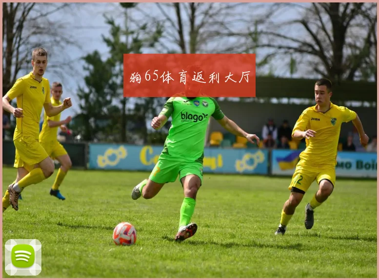 狗65体育返利大厅