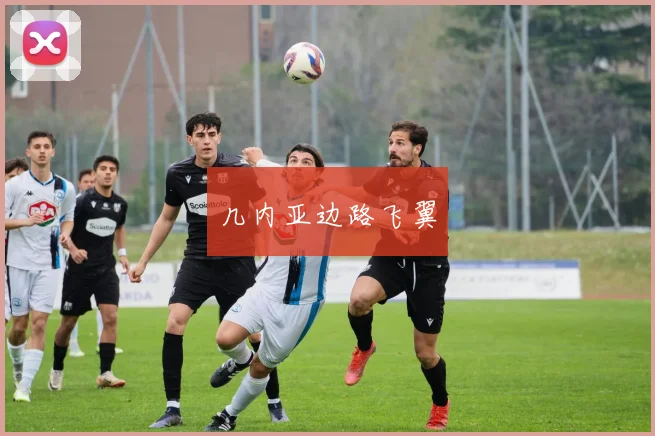 几内亚边路飞翼