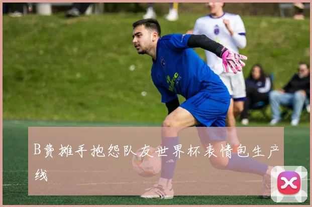 B费摊手抱怨队友世界杯表情包生产线