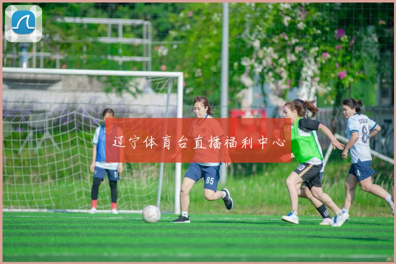 辽宁体育台直播福利中心