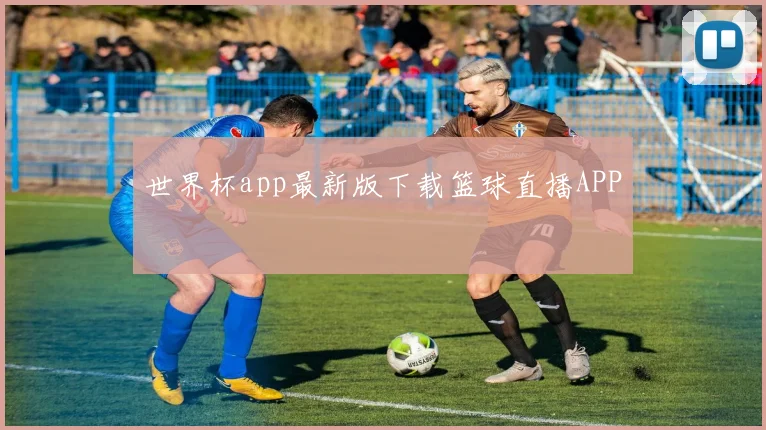 世界杯app最新版下载篮球直播APP