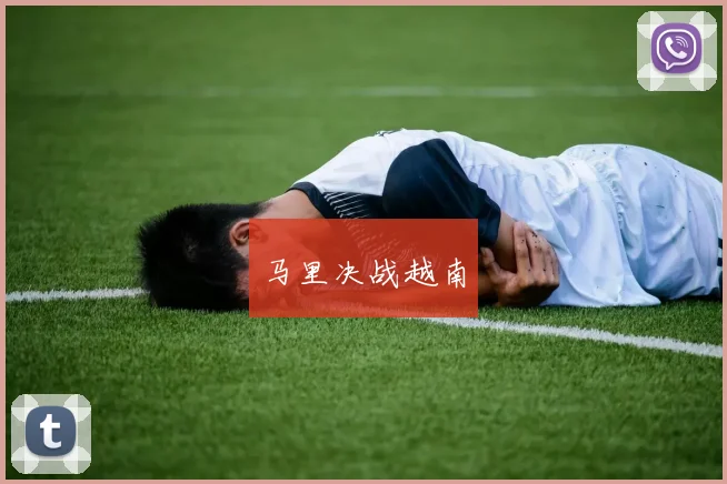 马里决战越南
