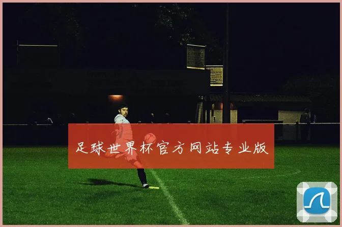 足球世界杯官方网站专业版