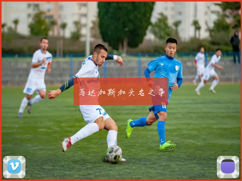 马达加斯加头名之争