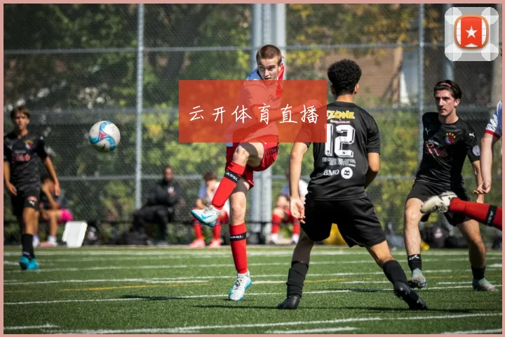 云开体育直播