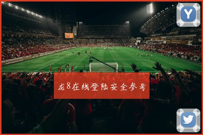 龙8在线登陆安全参考