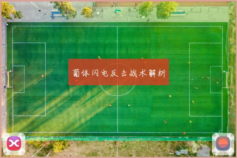 葡体闪电反击战术解析
