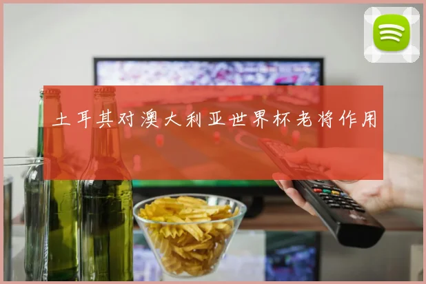 土耳其对澳大利亚世界杯老将作用