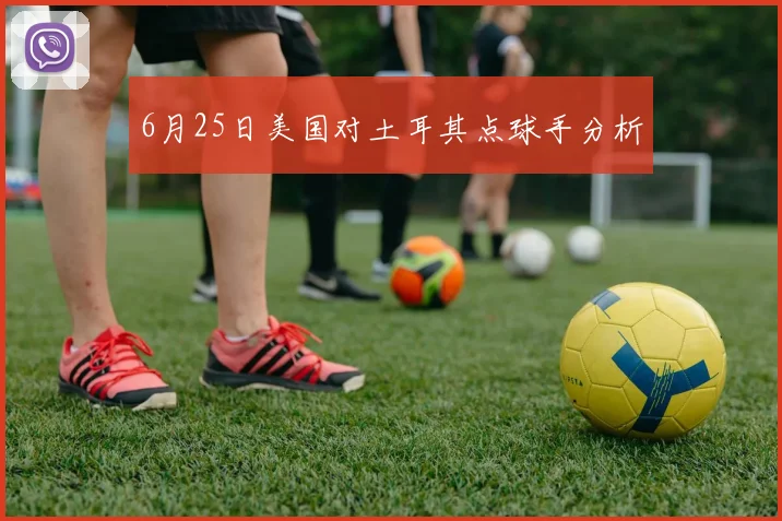 6月25日美国对土耳其点球手分析